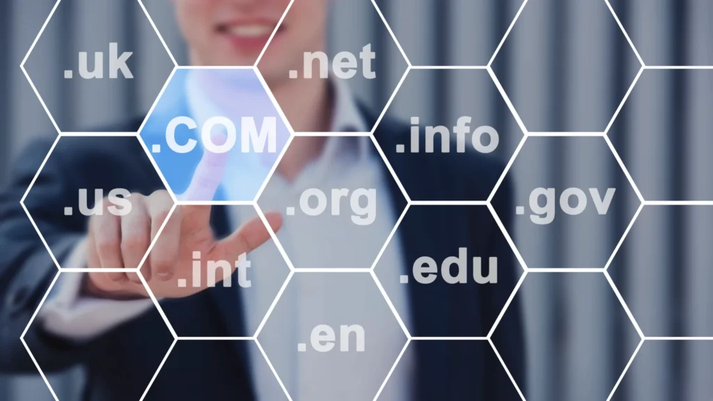 what is a domain in web hosting